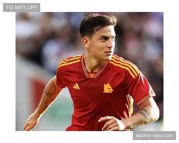 迪巴拉技术能力总结